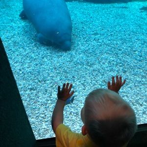 Meet your Posher, Paula